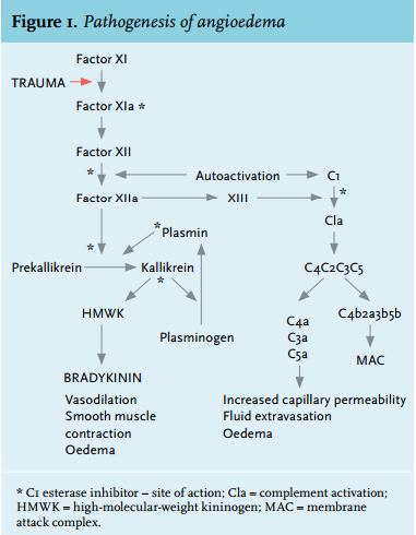 How do you treat angioedema?